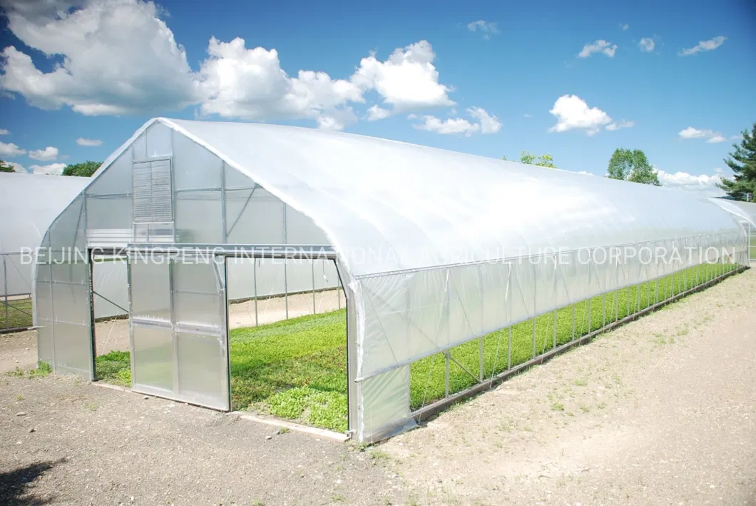 Galvanized Steel Frame Agriculture/Commercial Turn-Key Poly Tunnel Film Greenhouse