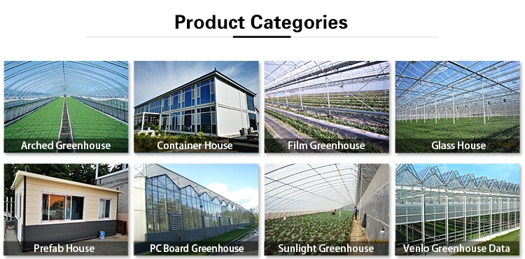 China Easy Assemble Polycarbonate PC Sheet Commercial Garden Greenhouse with Hydroponics/ Planting System/ Light System/ Agriculture/ Livestock Breeding