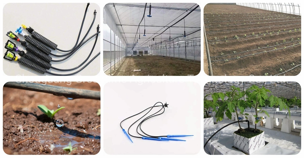 China Supplier Multi Span Film Greenhouse with Cooling/ Shading/Irrigation