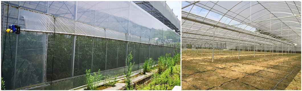 China Agriculture/Commercial Poly-Tunnel Plastic Film Greenhouses with Ventilation for Rose/Flower/Tomato/Pepper/Srawberry/Soilless Hydroponics Growing