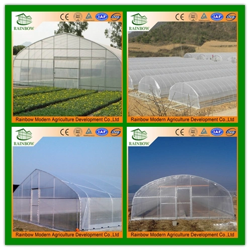 Dome Film Greenhouse for Vegetables/Garden