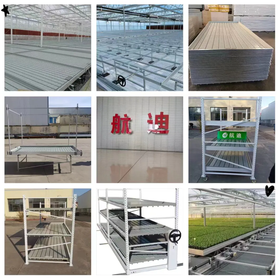 Metal Mesh Seedbed Factory Agriculture Seedbed Used for Sale/ Green House Steel Benches and Accessories