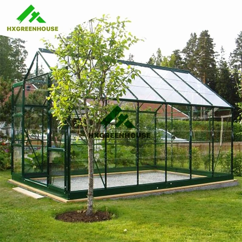 Supplies Walk in Construction Plant Shade Portable Green House Home Single Span Hobby Mini Greenhouse Garden