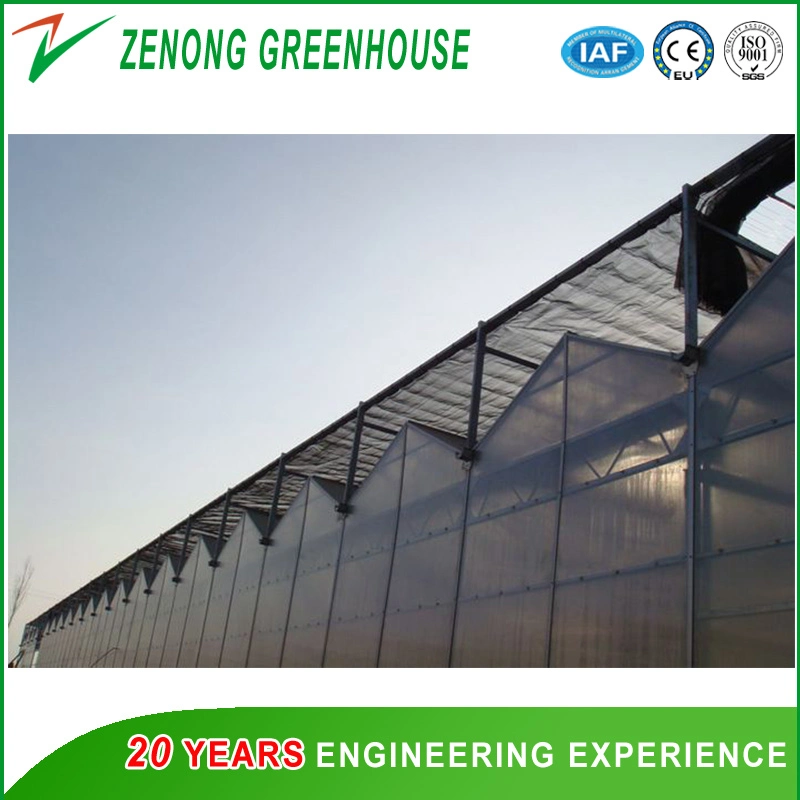 Effective Greenhouse Outside Shading Screen for Lowing The Temperature Not Sunburn The Crops