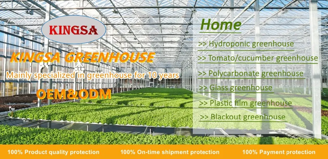 Factory Price Agriculture Greenhouse Multi-Span PC Sheet Polycarbonate Greenhouse Turnkey Project