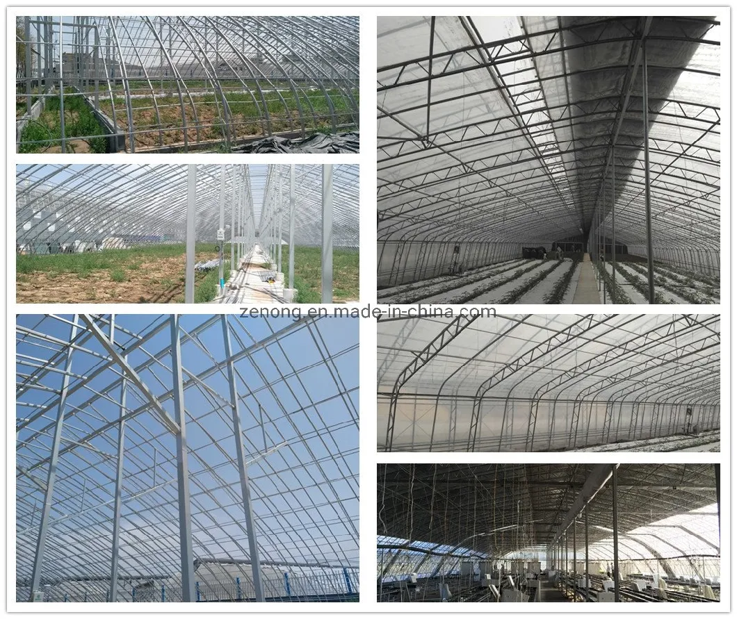 China Solar Film Greenhouse with Heating Storage and Releasing System for Vegetables Flowers