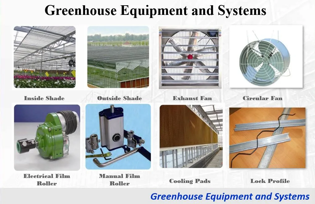 Galvanized Steel Frame Agriculture/Commercial Turn-Key Poly Tunnel Film Greenhouse