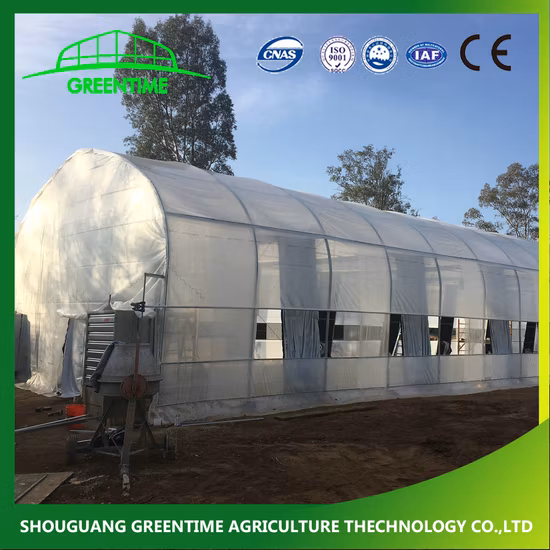 Сельскохозяйственная/коммерческая однопролетная/дешевая туннель/готическая пластиковая пленка, гидропонная теплица для помидоров, салата, огурцов