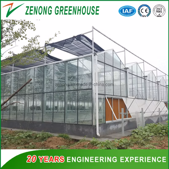 Зеленые дома производят многопролетные томатно-клубничные цветочные дома, охлаждающие системы орошения, стеклянные теплицы